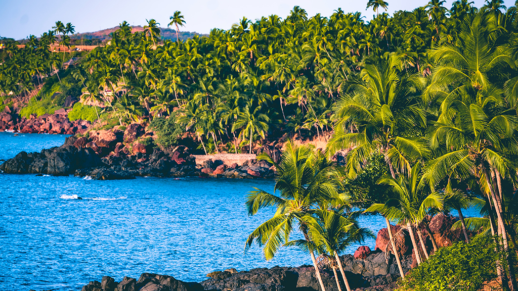 Goa beach at sunset